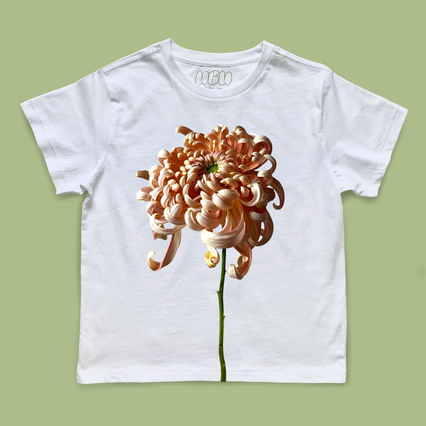 Chrysanthemum